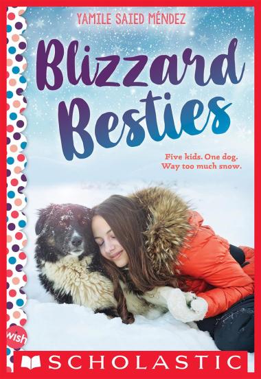 Photo of Blizzard Besties: A Wish Novel