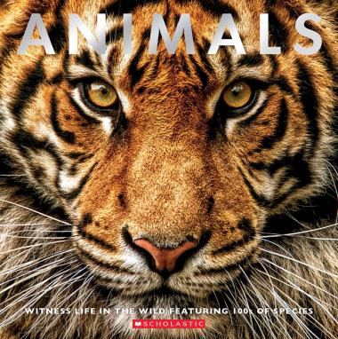Photo of Animals: Witness Life in the Wild Featuring 100s of Species