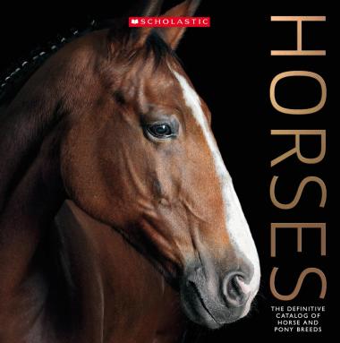 Photo of Horses