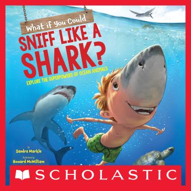 Photo of What If You Could Sniff Like a Shark?: Explore the Superpowers of Ocean Animals