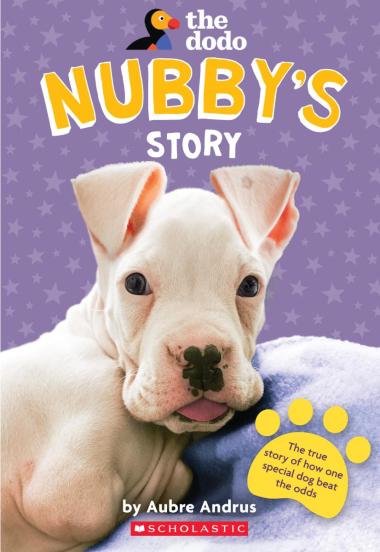 Photo of Nubby's Story (The Dodo)