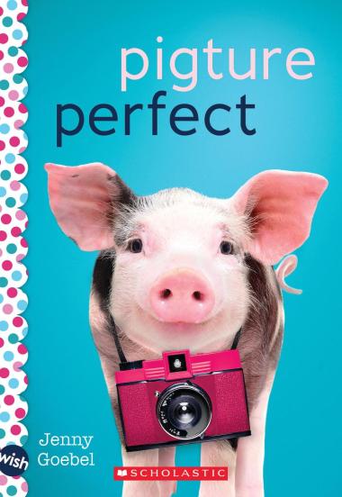 Photo of Pigture Perfect: A Wish Novel