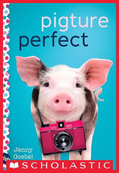 Photo of Pigture Perfect: A Wish Novel