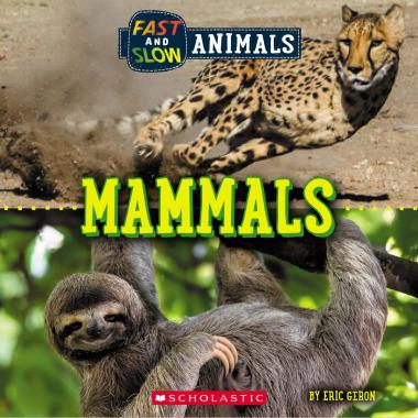 Photo of Mammals (Wild World: Fast and Slow Animals)
