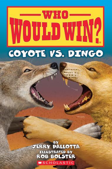 Photo of Who Would Win?: Coyote vs. Dingo