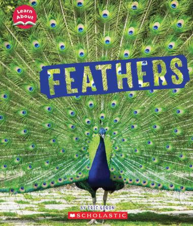 Photo of Feathers (Learn About: Animal Coverings)