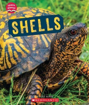 Photo of Shells (Learn About: Animal Coverings)