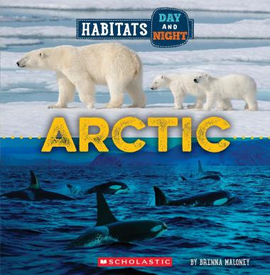 Photo of Arctic (Wild World: Habitats Day and Night)