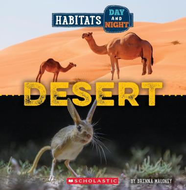 Photo of Desert (Wild World: Habitats Day and Night)