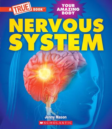 Photo of Nervous System (A True Book: Your Amazing Body)