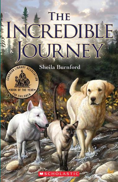 Photo of The Incredible Journey