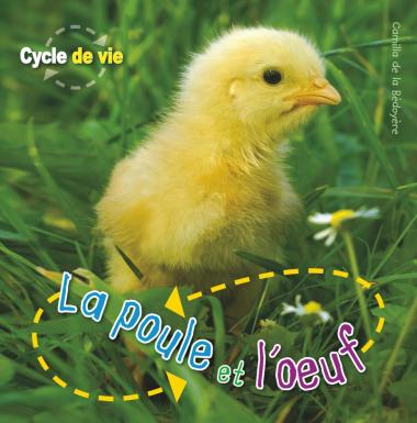 Photo of Cycle de vie : La poule et l'oeuf