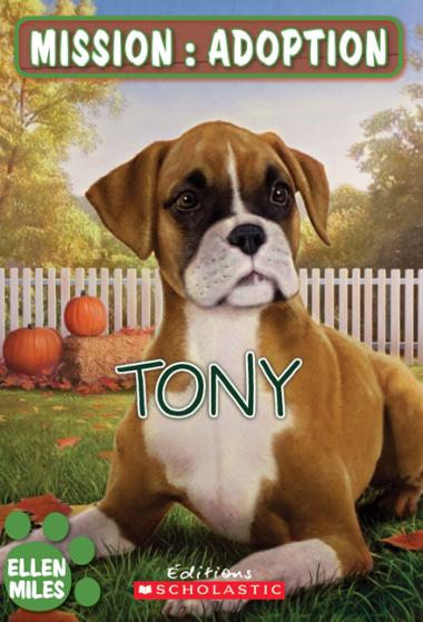 Photo of Mission : adoption : Tony