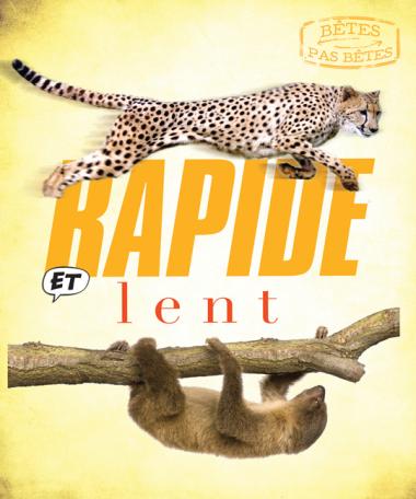Photo of Bêtes pas bêtes : Rapide et lent