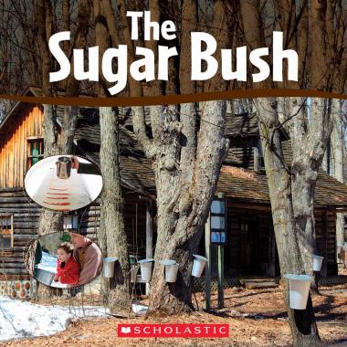 Photo of The Sugar Bush