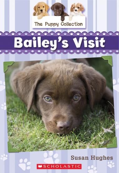 Photo of The Puppy Collection #1: Bailey's Visit