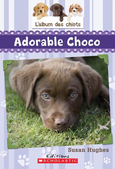 Photo of L' album des chiots : N° 1 - Adorable Choco