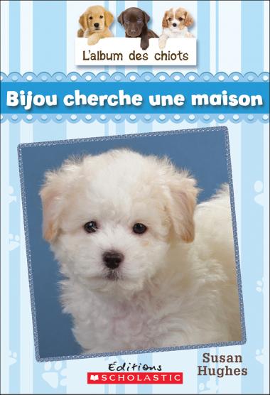 Photo of L' album des chiots : N° 4 - Bijou cherche une maison