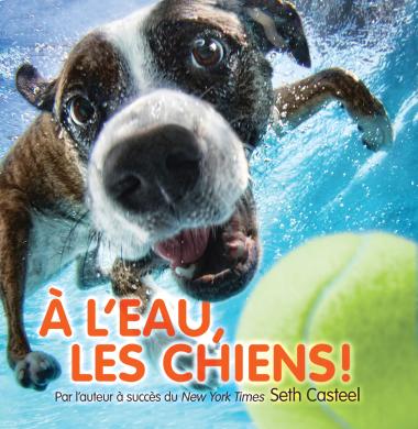 Photo of À l'eau, les chiens!