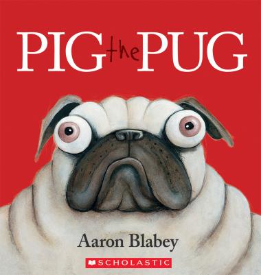 Photo of Pig the Pug