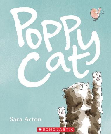 Photo of Poppy Cat