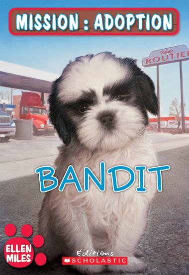 Photo of Mission : adoption : Bandit