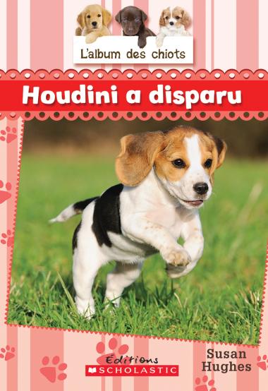 Photo of L' album des chiots : N° 7 - Houdini a disparu