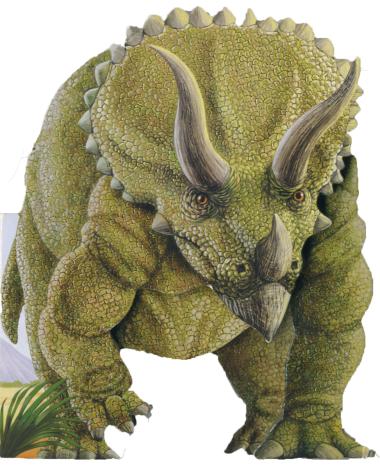 Photo of Je suis un tricératops