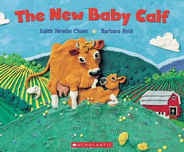 Photo of The New Baby Calf