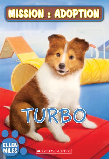 Photo of Mission : adoption : Turbo