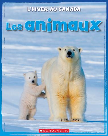 Photo of L' hiver au Canada : Les animaux