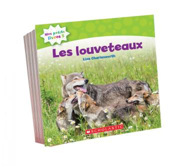 Photo of Mes petits livres 5