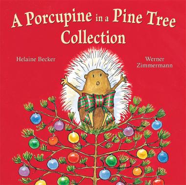 Photo of A Porcupine in a Pine Tree Collection