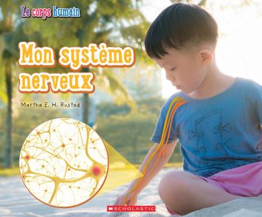 Photo of Le corps humain : Mon système nerveux