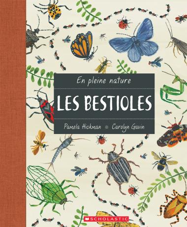 Photo of En pleine nature : Les bestioles