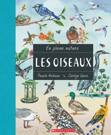 Photo of En pleine nature : Les oiseaux