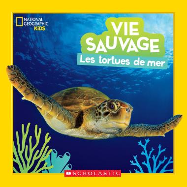 Photo of National Geographic Kids : Vie sauvage : Les tortues de mer