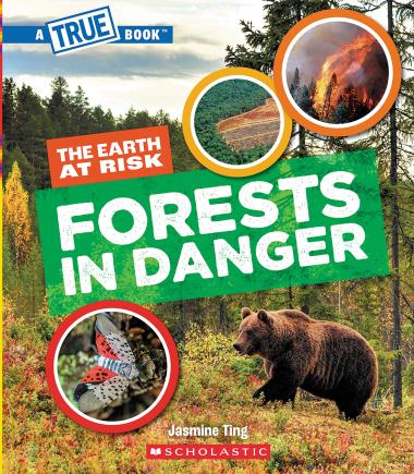 Photo of Forests in Danger (A True Book: The Earth at Risk)