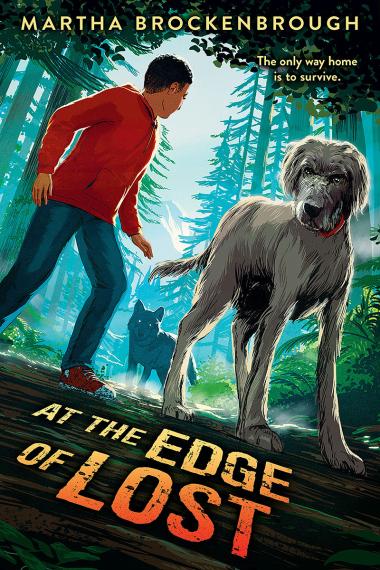 Photo of At the Edge of Lost