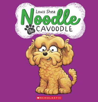 Photo of Noodle the Cavoodle