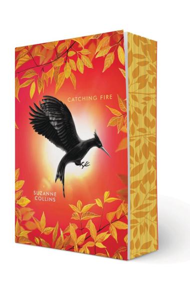 Photo of Catching Fire: Deluxe Edition (The Hunger Games, Book Two)