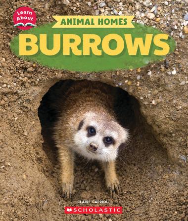 Photo of Burrows (Learn About: Animal Homes)