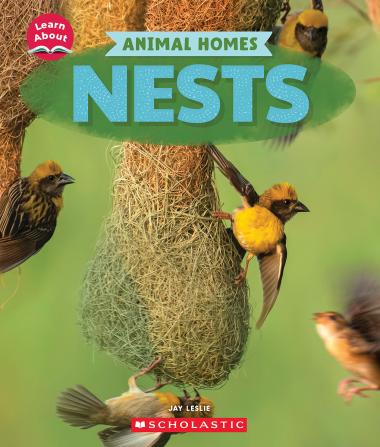 Photo of Nests (Learn About: Animal Homes)