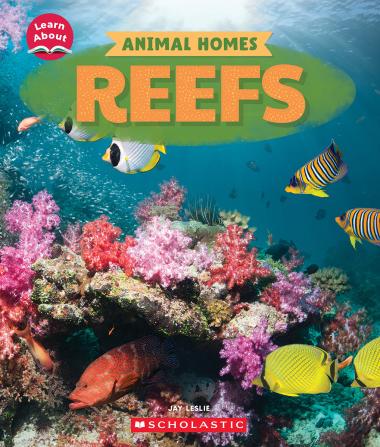 Photo of Reefs (Learn About: Animal Homes)
