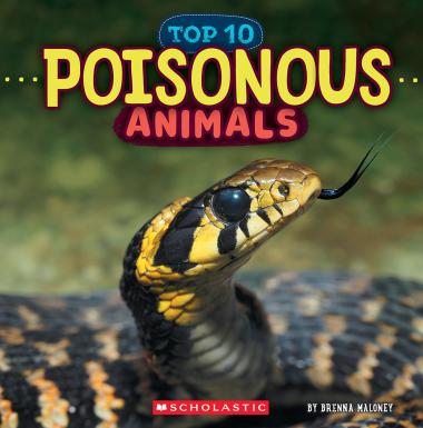 Photo of Poisonous Animals (Wild World: Top 10)