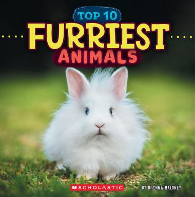 Photo of Furriest Animals (Wild World: Top 10)