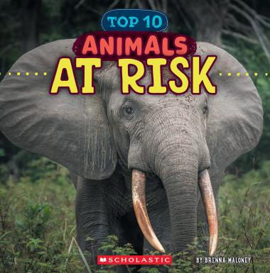 Photo of Animals at Risk (Wild World: Top 10)