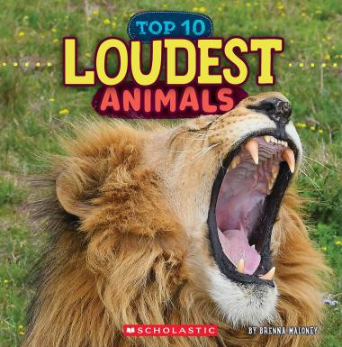 Photo of Loudest Animals (Wild World: Top 10)