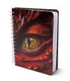 Dragon Journal