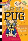 Diary of a Pug #15: Pug Goes to Hollywood